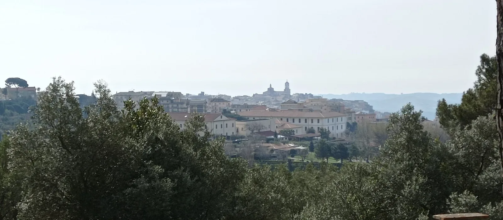 Panorama of Catanzaro historic centre seen past trees.