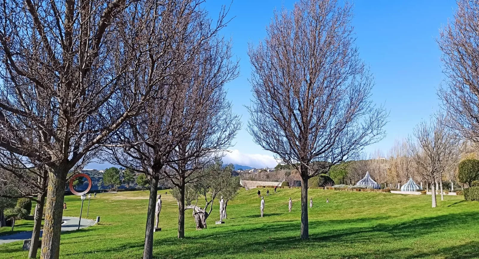 Catanzaro sculpture park with trees and green lawn