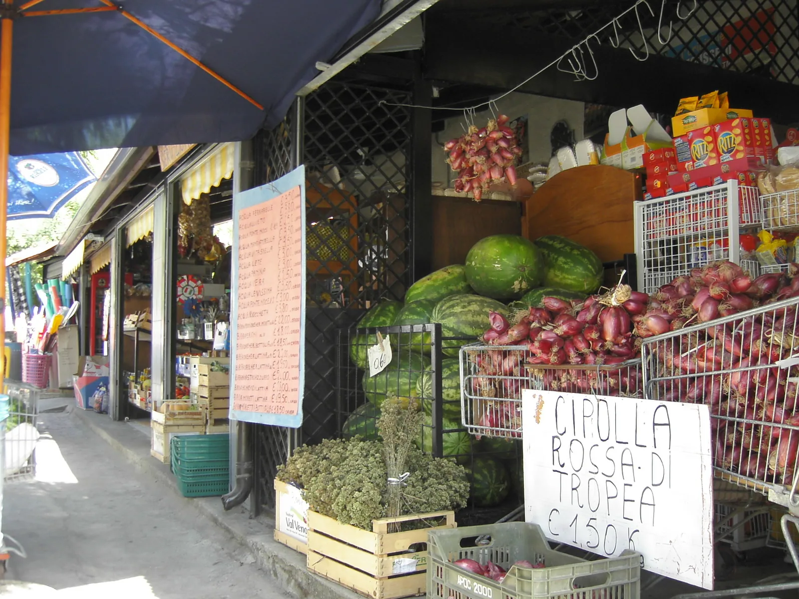Tropea red onions hanging in a stall in Tropea