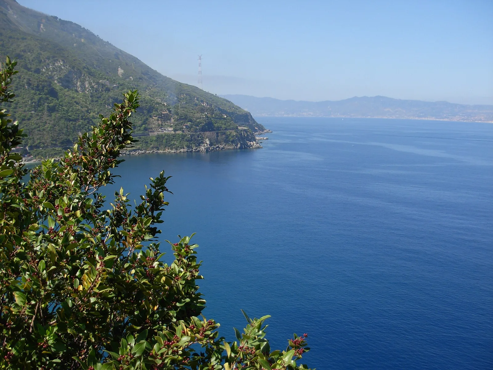 Green Costa Viola cliffs above the Tyrrhenian Sea