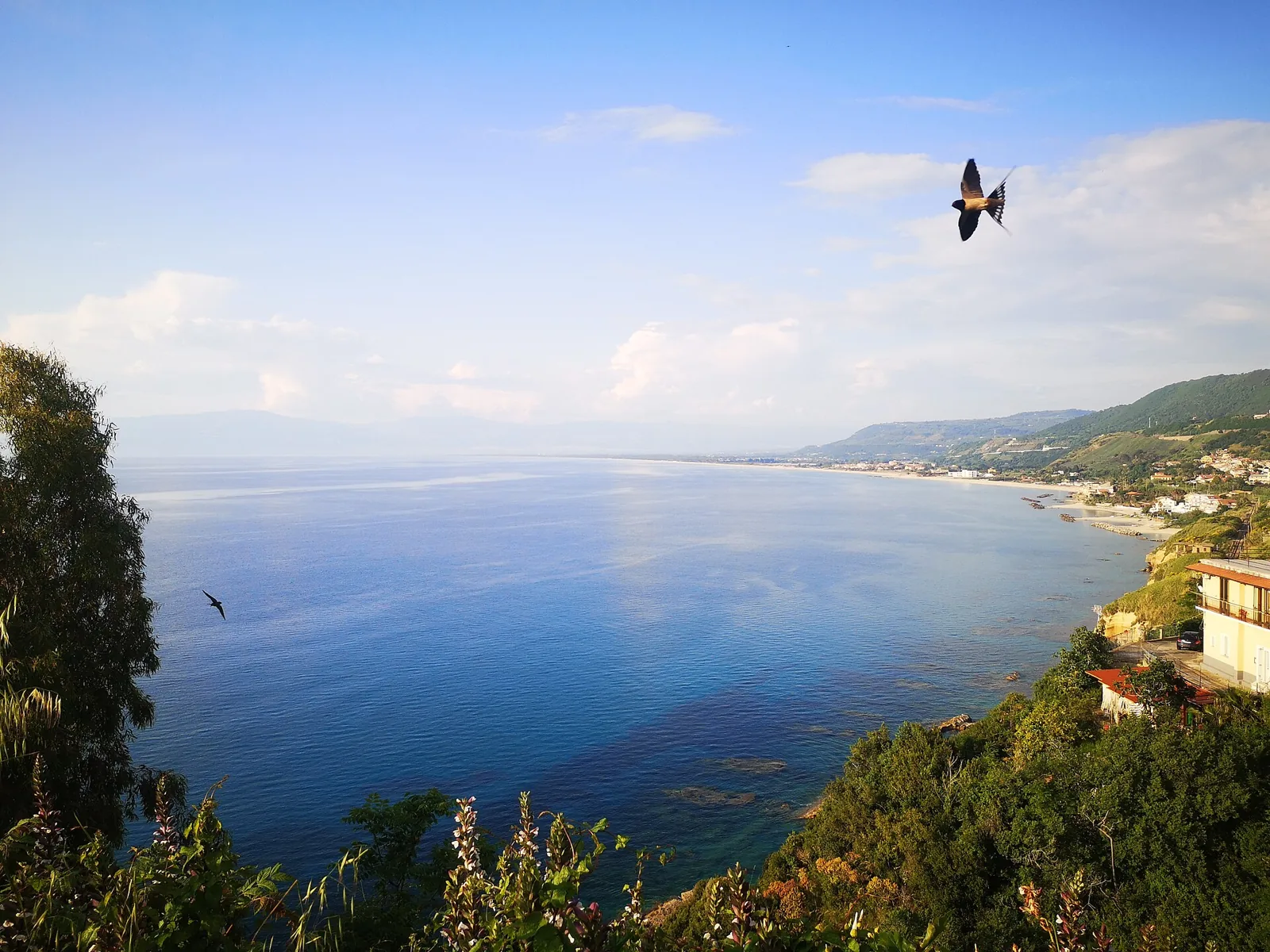 Wide panorama of the Pizzo Calabro coast